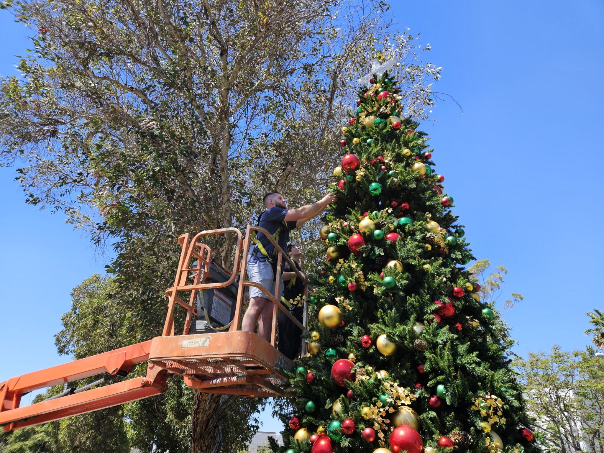 Professional Christmas Light Installer San Francisco Tree Lift